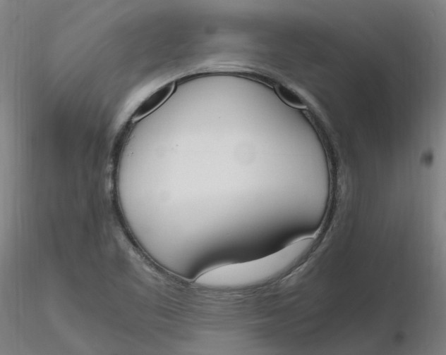 X0000116331461200912221410