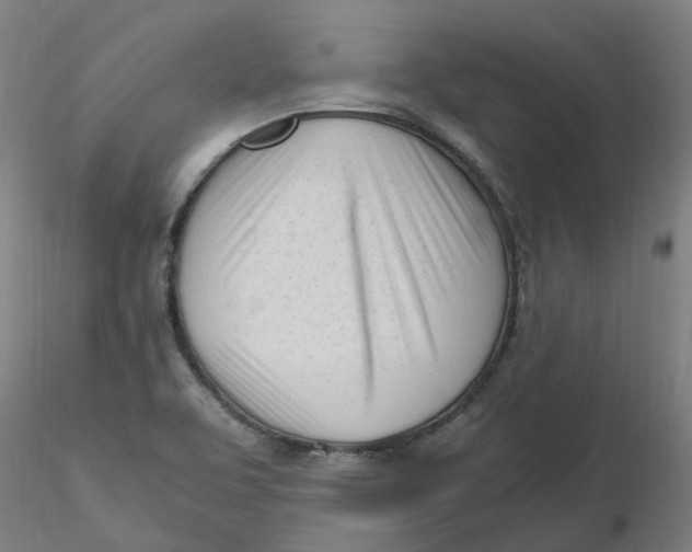 X0000116331463200912221410