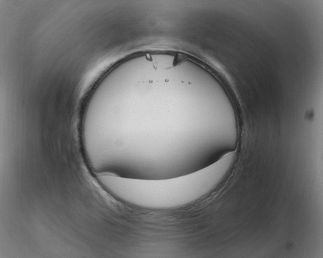 X0000116331464200912221410