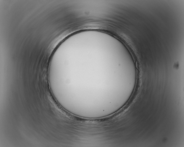 X0000116331465200912221410