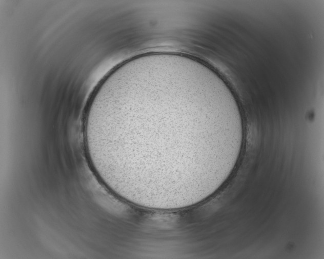 X0000116331466200912221410