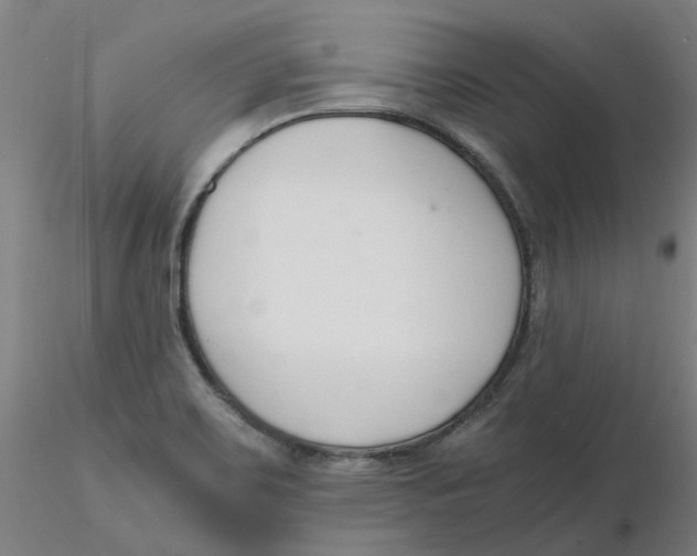 X0000116331467200912221410