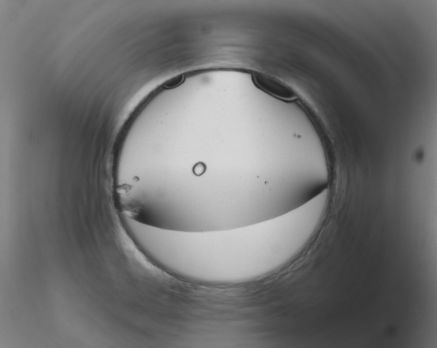 X0000116331468200912221410