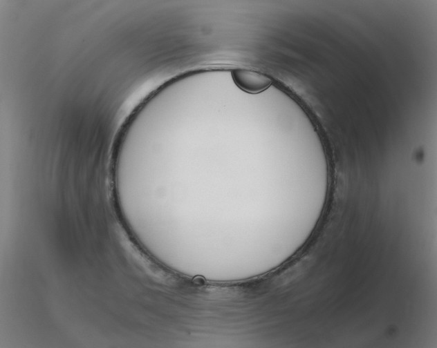 X0000116331469200912221409