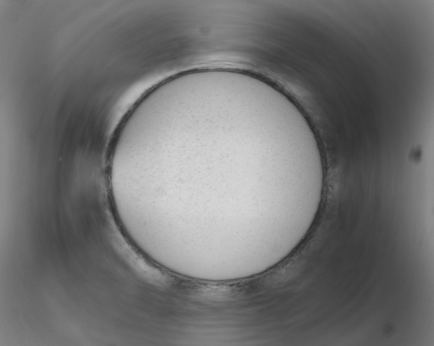 X0000116331470200912221409