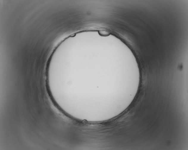 X0000116331471200912221409