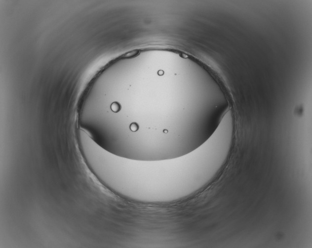 X0000116331472200912221409