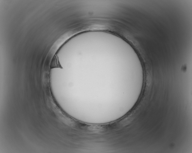 X0000116331473200912221409