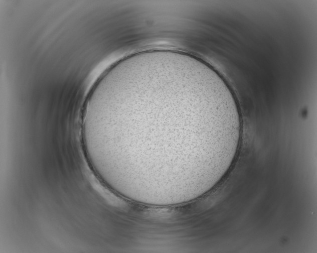 X0000116331474200912221409