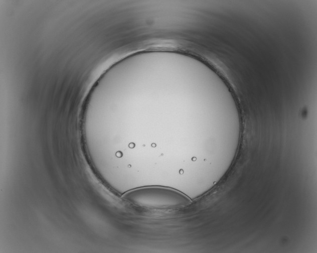 X0000116331475200912221409