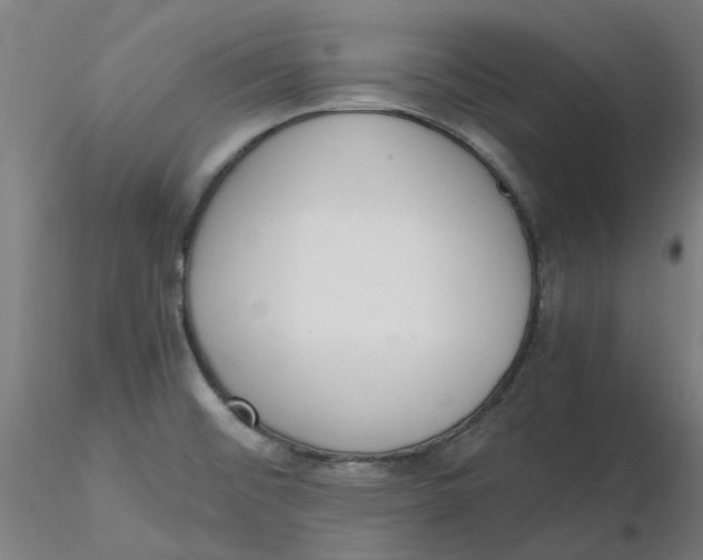 X0000116331476200912221409