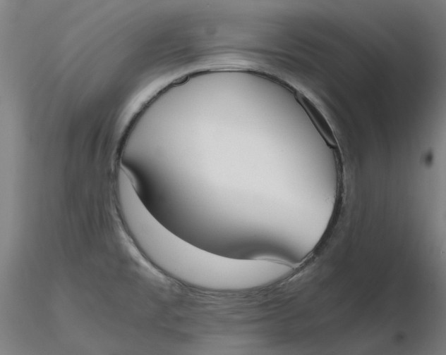 X0000116331477200912221409