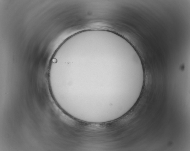 X0000116331478200912221409