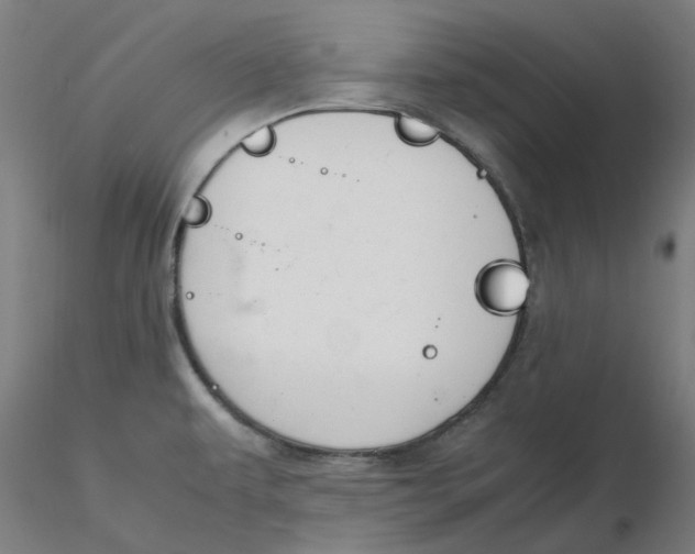 X0000116331479200912221409