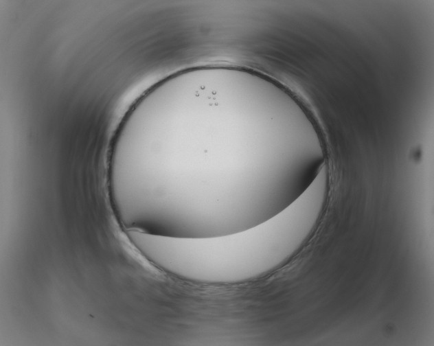 X0000116331480200912221409