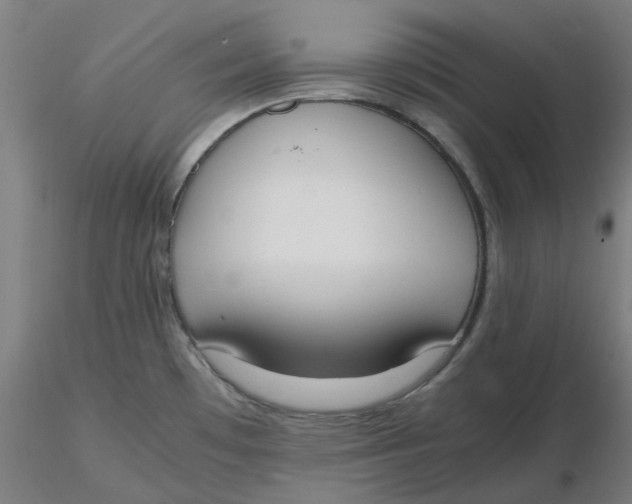 X0000116331481200912221409