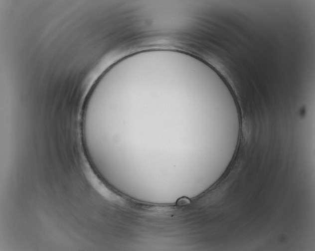 X0000116331482200912221409