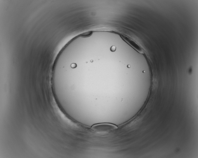 X0000116331484200912221409