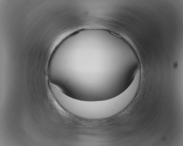 X0000116331485200912221409