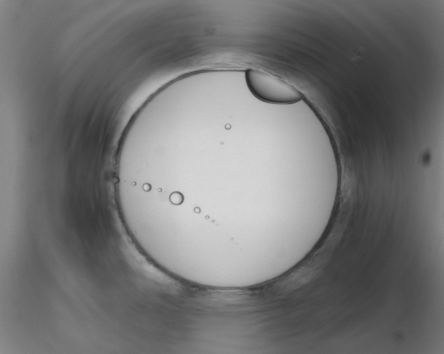 X0000116331486200912221409