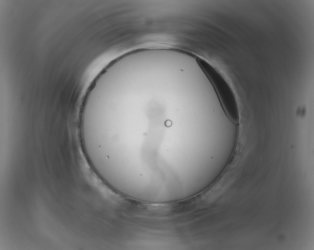 X0000116331488200912221409