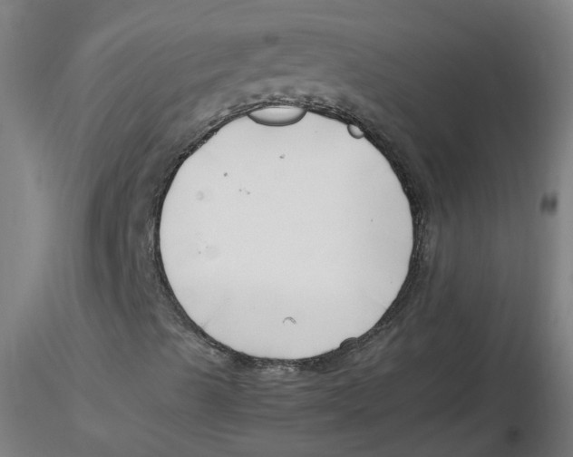 X0000116331489200912221409