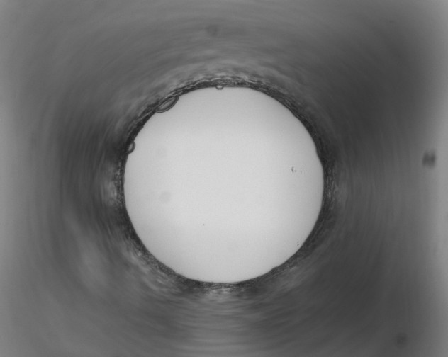 X0000116331490200912221409