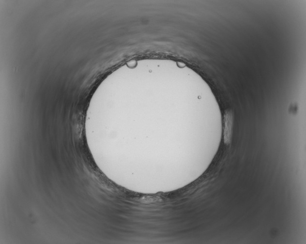 X0000116331491200912221409