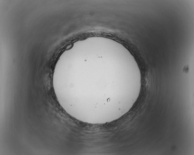 X0000116331493200912221409