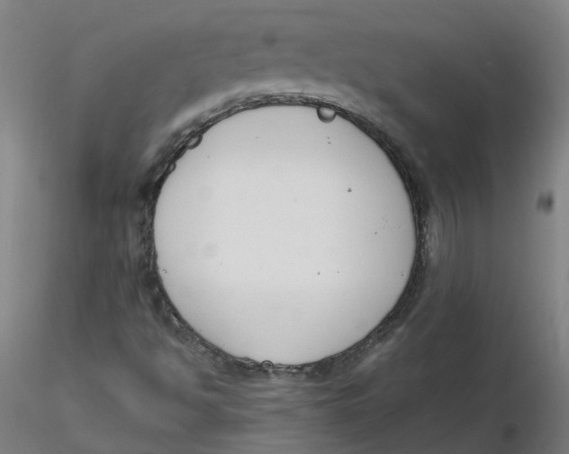 X0000116331494200912221409