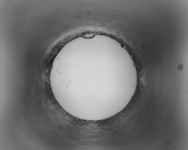 X0000116331495200912221409