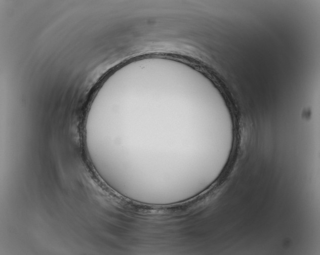 X0000116331497200912221409