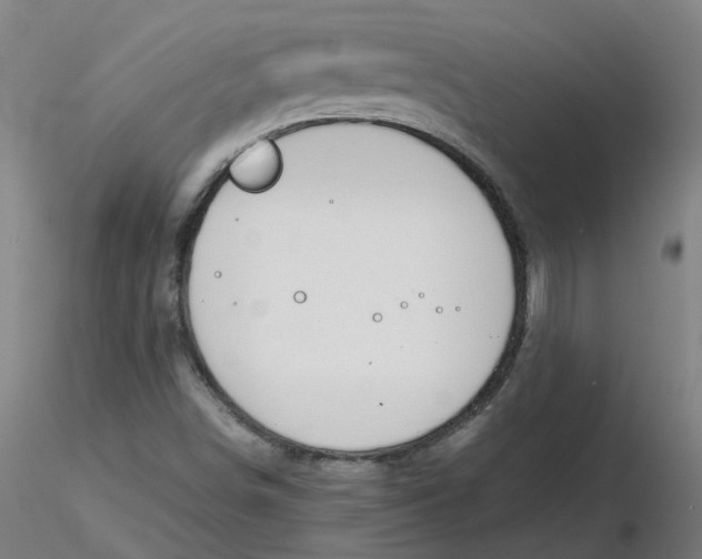 X0000116331498200912221409