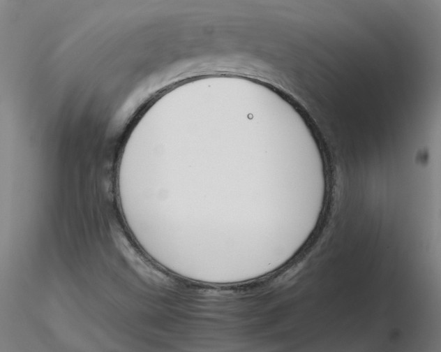 X0000116331499200912221409