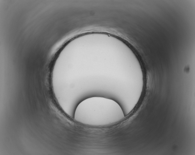 X0000116331502200912221409