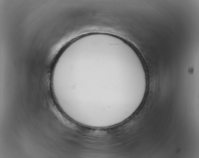 X0000116331503200912221409