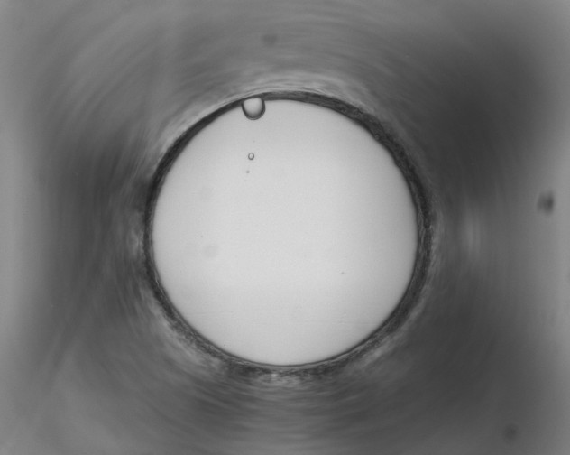 X0000116331505200912221409