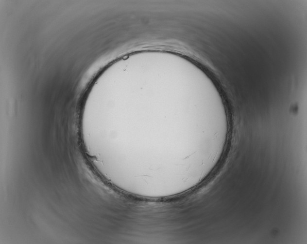 X0000116331506200912221409