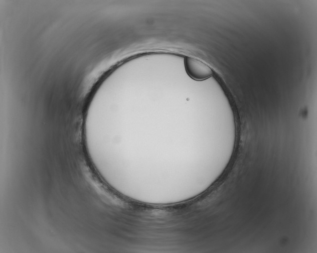 X0000116331507200912221409