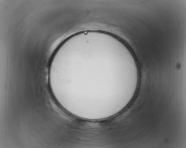 X0000116331509200912221409