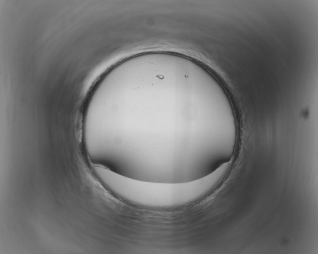 X0000116331510200912221409