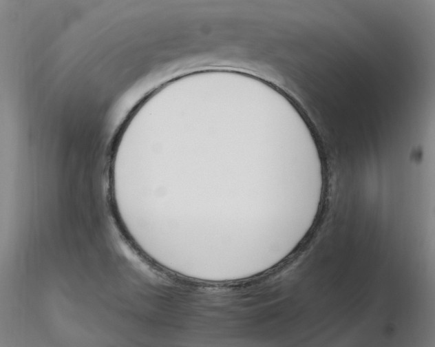 X0000116331511200912221409