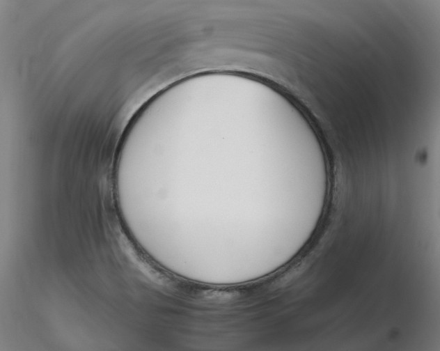 X0000116331513200912221409