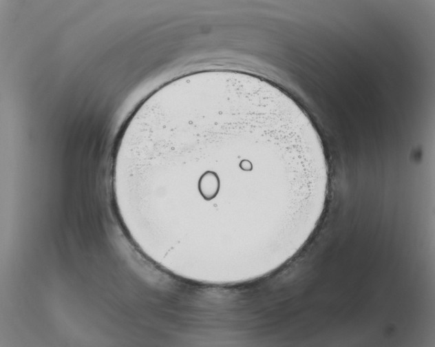 X0000116331514200912221409