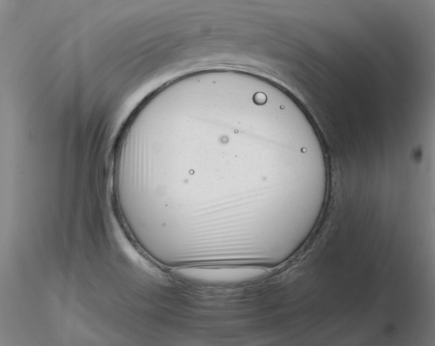 X0000116331515200912221409