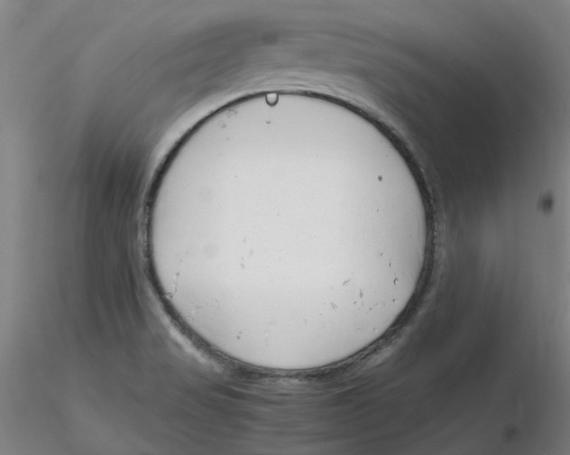 X0000116331517200912221409