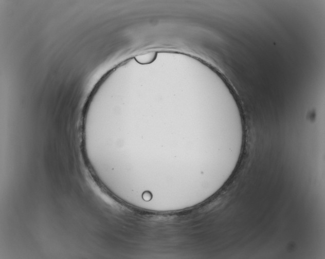 X0000116331519200912221409