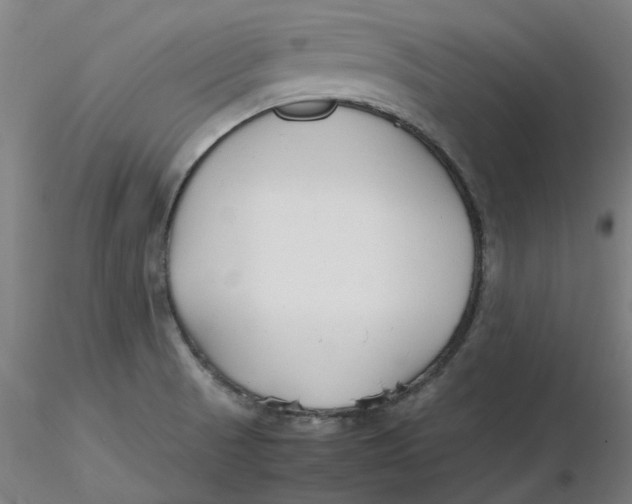 X0000116331521200912221409