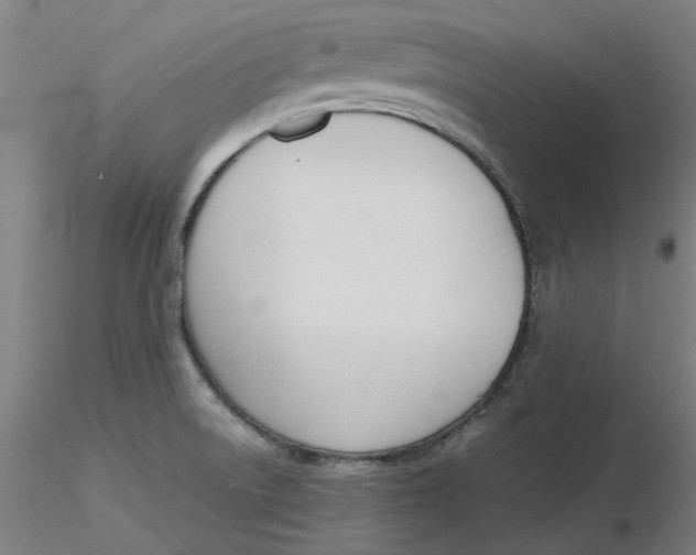 X0000116331522200912221409