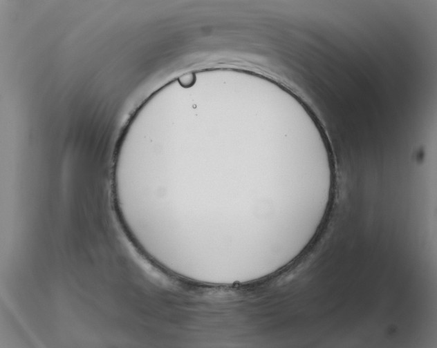 X0000116331525200912221409